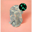 Cobertor Sonhos Brilhantes™ - Cobertor Flourescente 1,80x2,00 Metros