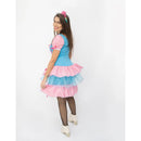 Vestido de Festa Junina Caipira Xadrex Adulto Turquesa envio já (0011A)