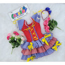 Vestido Adulto  Feminino de  Caipira Quadriculado  Junino Vermelho Com Azul envio já